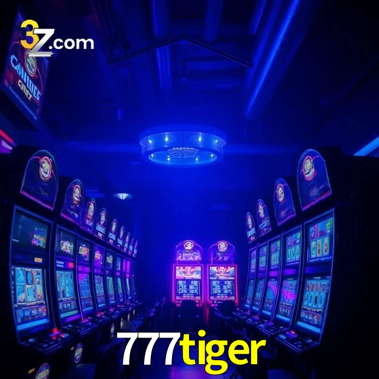 777tiger App Security